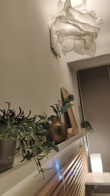 Appartement - Брандо Экстерьер фото